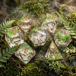 May include: A set of seven polyhedral dice made of clear resin, each containing embedded green fern leaves and iridescent flakes. The dice feature copper-colored numbers and are arranged on a bed of natural green moss and fern fronds.