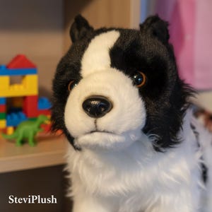 May include: A plush dog toy with a black and white coat, brown eyes, and a black nose. The toy is a close-up shot, with the dog's face filling most of the frame. The toy is a stuffed animal.