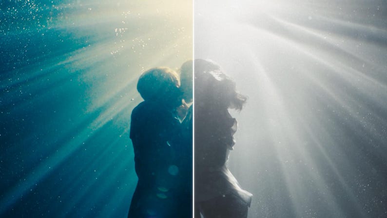 May include: A split-screen image shows two figures underwater, one in color and the other in grayscale. The figures are silhouetted against beams of light filtering down through the water, creating a dramatic and ethereal effect.