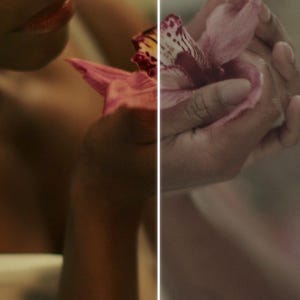 May include: A close-up shot of a person holding a pink orchid flower. The flower has a delicate, layered petal structure with a mix of pink and yellow hues. The image is softly lit, creating a sense of intimacy and focus on the flower.