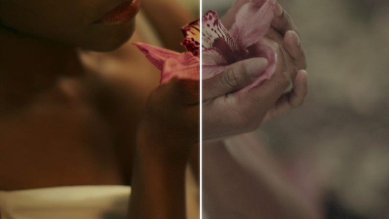 May include: A close-up shot of a person holding a pink orchid flower. The flower has a delicate, layered petal structure with a mix of pink and yellow hues. The image is softly lit, creating a sense of intimacy and focus on the flower.