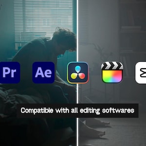 May include: Image featuring the logos of video editing software: Adobe Premiere Pro, Adobe After Effects, DaVinci Resolve, Final Cut Pro, and CapCut. The text "Compatible with all editing softwares" is also present.