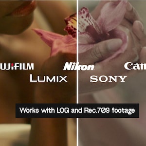 May include: A person holding a pink orchid, with camera brand logos: Fujifilm, Lumix, Nikon, Sony, and Canon. The text at the bottom says "Works with LOG and Rec.709 footage."