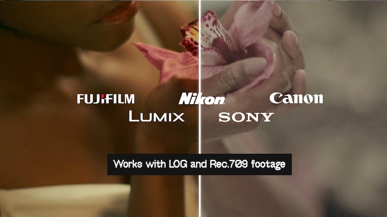 May include: A person holding a pink orchid, with camera brand logos: Fujifilm, Lumix, Nikon, Sony, and Canon. The text at the bottom says "Works with LOG and Rec.709 footage."