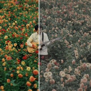 May include: A person playing a guitar in a field of colorful flowers. The flowers are a mix of red, orange, and yellow, with green foliage. The image is split, with a similar scene on the right.