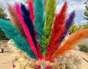 Colors Pampas Grass Boho Dried Flowers, 24"-50" Tall & Fluffy Floor Vase Floral Arrangement Bouquet for Home Decor Wedding Venue