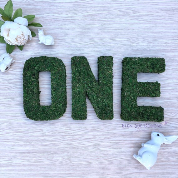 Moss/Garden Party/Enchanted Forest Party One for First Birthday/Photo Shoot Il_570xn