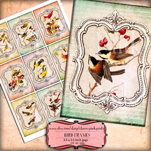 Digital collage sheet BIRD FRAMES 2.5 x 3.5 ,  ephemera great for notecards, tags an scrapbooking