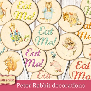 Peter Rabbit decorations, cake topper, party printable decorations, Peter Rabbit party shower, Instant Download