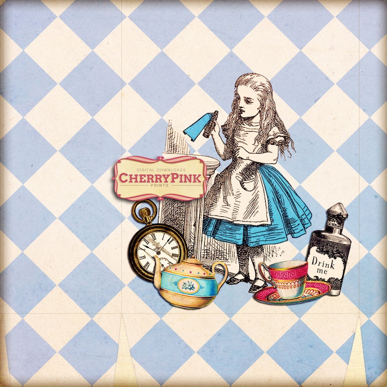 Alice in Wonderland party bags Wonderland favour bag Alice Etsy