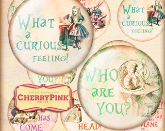 Alice in Wonderland decoration, Wonderland cake toppers, cupcake topper,  printable quote, decor circle, round, digital collage sheet