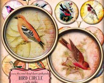 VINTAGE BIRDS 1 inch circle digital downloads,  collage sheet,  for pendants, magnets, scrapping, craft supply.