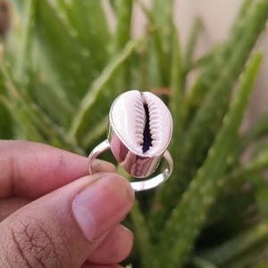 Op de afbeelding: Een zilveren ring met een natuurlijke kaurischelp. De schelp is crèmewit met een donker interieur en is gezet op een gepolijste zilveren band. De ring wordt getoond tegen een vage groene achtergrond.
