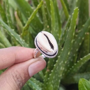Puede incluir: Anillo de plata con una concha de cauri ovalada de color crema con una ranura oscura y texturizada. La concha está engastada en un bisel de plata con un diseño de cuerda trenzada. El fondo es follaje verde.