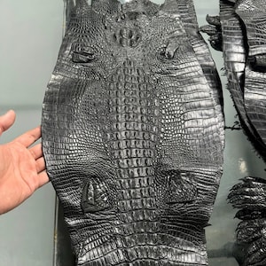 May include: Close-up of black crocodile leather with a textured, scaly pattern. The leather is held by a hand, showcasing the intricate details of the hide. The image highlights the natural texture and dark colour of the material, suitable for various leathercraft projects.