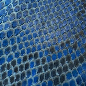 Peut inclure: Gros plan sur un motif de peau de serpent bleue texturée. Les écailles, dans des tons de bleu et de noir, créent un effet de profondeur. Le motif est uniforme, suggérant une pièce de matériau continue.