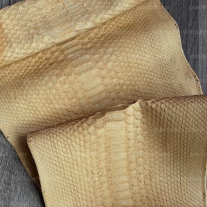 Pode incluir: Uma peça de couro de pele de cobra bege claro natural com um padrão distinto de escamas sobrepostas. O material está dobrado sobre si mesmo, exibindo a superfície texturizada e as escamas alongadas que correm pelo centro da pele.