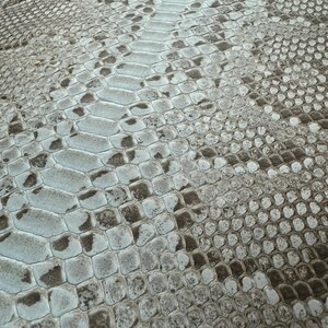 Op de afbeelding: Close-up van een slangenhuiddessin. Het patroon heeft een mix van lichtblauwe, grijze en bruine tinten, waardoor een getextureerde, schubachtige uitstraling ontstaat. Het ontwerp doet denken aan reptielenhuid, met een naturalistische esthetiek.