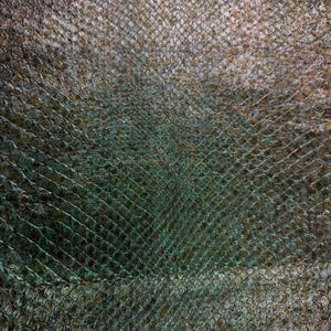 Puede incluir: Primer plano de una superficie texturizada con un patrón similar a escamas. El color transita de un verde azulado oscuro a un tono más claro, parduzco. El patrón se asemeja a la piel de reptil, con un brillo ligeramente iridiscente.