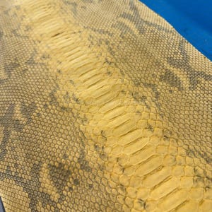 Piel de pitón reticulada de vientre / Piel de pitón genuina amarilla natural Doff para sus necesidades de artesanía