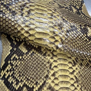 Piel de pitón reticulada de vientre / Cuero de pitón genuino glaseado amarillo plátano para sus necesidades de artesanía