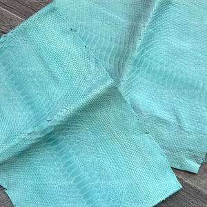 Könnte beinhalten: Ein Stück helltürkisfarbenes Schlangenleder mit einem ausgeprägten, sich wiederholenden Schuppenmuster auf der gesamten Oberfläche. Das Material hat ein mattes Finish und weist natürliche Variationen in Größe und Form der Schuppen auf.