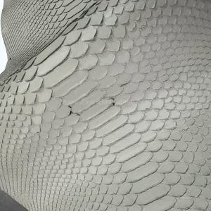 May include: Close-up of a textured, light gray snakeskin pattern. The scales are oval-shaped and overlap, creating a textured surface. The color is a muted, neutral gray, with subtle variations in tone. The overall effect is a detailed, naturalistic pattern.
