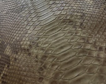 Python Reticulated Belly Skin | Natural Moss Green Genuine Python Leather for your Crafting Needed