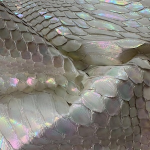 May include: Close-up of iridescent white snake skin. The scales have a pearlescent sheen, reflecting a rainbow of colors. The texture is detailed, showing the natural pattern of the reptile's skin. The overall effect is a shimmering, textured surface.