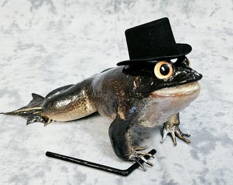 Bullfrog Taxidermy: Michigan J. Frog Cane Toad Oddities