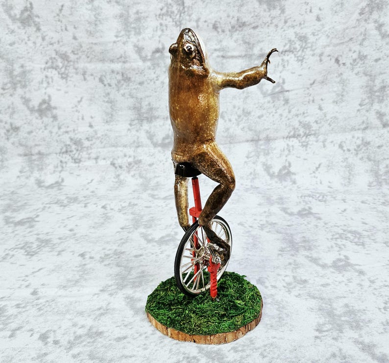 Taxidermia de rana toro real - Aquí viene Dat Boi rarezas meme de sapo de caña monociclo imagen 3