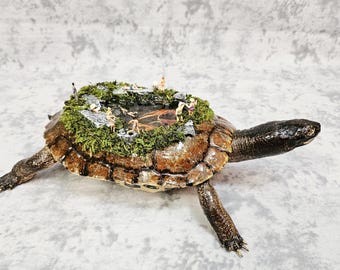 Large Turtle Taxidermy Diorama- Haunted Swimmin' Hole