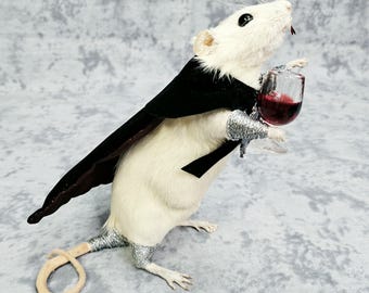 Rat Taxidermy- Dracula Vampire Oddities Sommelier