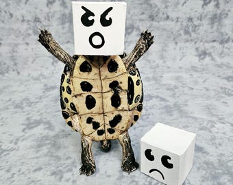 Real turtle taxidermy- Sad, mad, glad  Mood Turtle