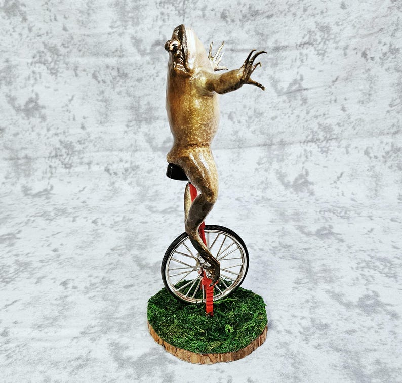 Taxidermia de rana toro real - Aquí viene Dat Boi rarezas meme de sapo de caña monociclo imagen 8