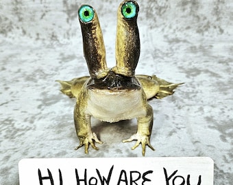 Real Bullfrog Taxidermy- Jeremiah the Innocent, Daniel Johnston