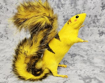 Pokemon: Pikachu Rat Taxidermy squirrel