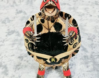 Turtle taxidermy- Teenage Mutant Ninja Turtles- Raphael!