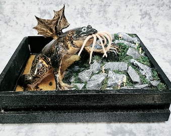 Real Bullfrog Taxidermy- Cthulhu, Most Eldritch of Lovecraftian Beings