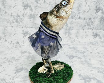 Real Fish-Frog Taxidermy- Dancing Chorus Girl Fish Head