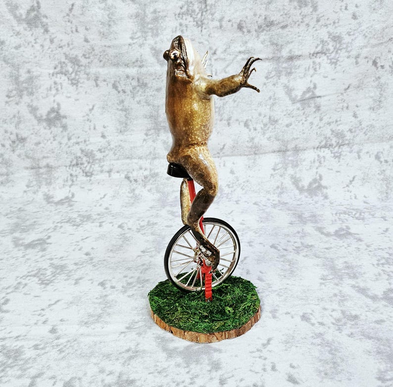 Taxidermia de rana toro real - Aquí viene Dat Boi rarezas meme de sapo de caña monociclo imagen 2