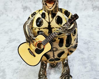 tortuga taxidermia rareza guitarra mariachi sapo lagarto reptil