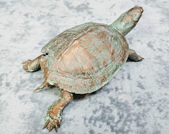 Real Turtle Taxidermy- Copper Painted