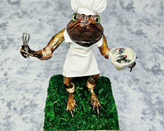 Cane Toad Taxidermy- Chef Toad