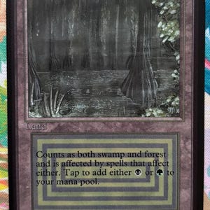 Bayou Mtg - Etsy