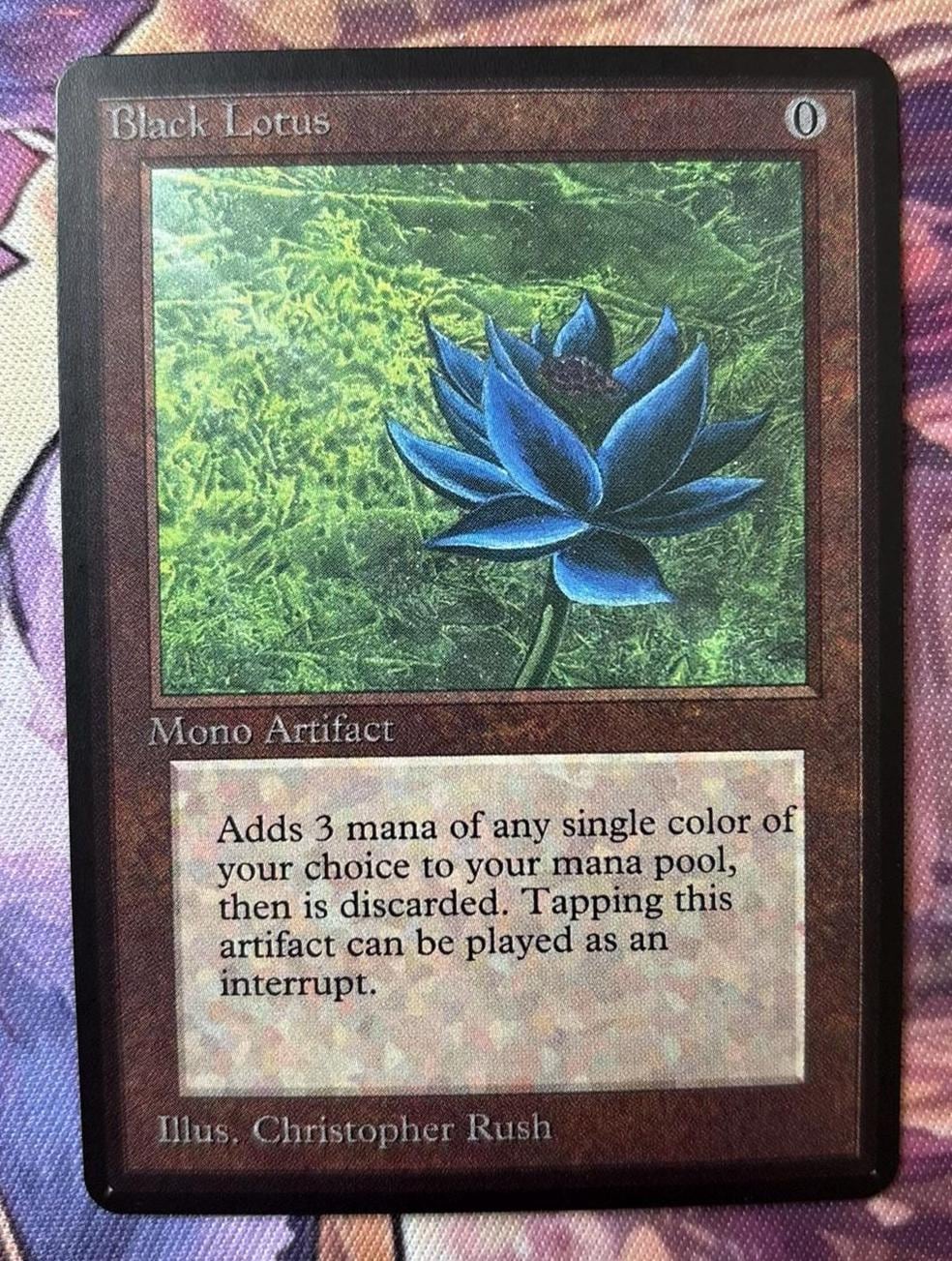 how rare is the black lotus magic card Pokemon Japanese Mega Dream ex Booster Box main image 1