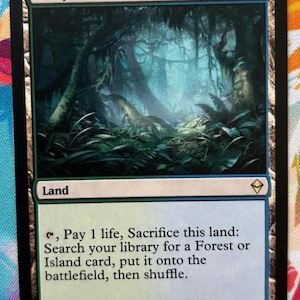 May include: A Magic: The Gathering card titled "Misty Rainforest." The card features a lush, green rainforest scene with dense foliage and a misty atmosphere. Text at the bottom details game instructions. The card is a "Land" card.