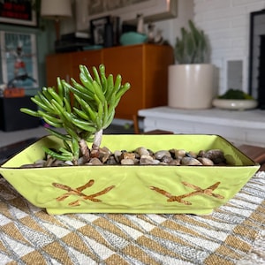 May include: A bright green rectangular planter with a succulent plant. The planter has a gold trim and brown starfish designs. The planter is filled with small rocks and the succulent has green, finger-like leaves. The planter sits on a patterned surface.