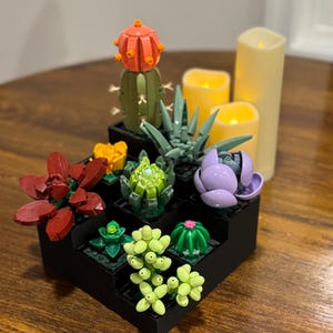 May include: A black tiered display holding various colorful succulent plants and three yellow LED candles. The succulents include a red flower, a green cactus with an orange top, and a purple flower. The candles are different heights.