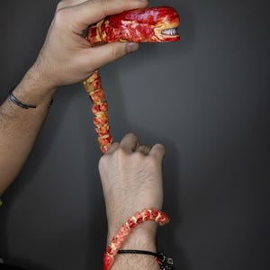 Peut inclure: Une sculpture articulée rouge et jaune d'une colonne vertébrale de créature, tenue dans deux mains. La sculpture est également portée comme bracelet. Le fond est gris uni.